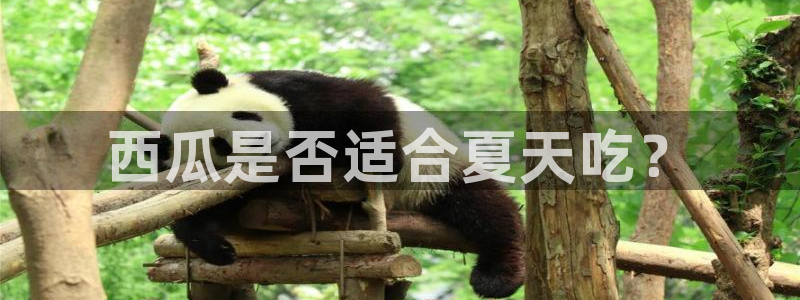 贝贝瓜可以炒着吃吗