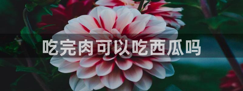 吃瓜电影