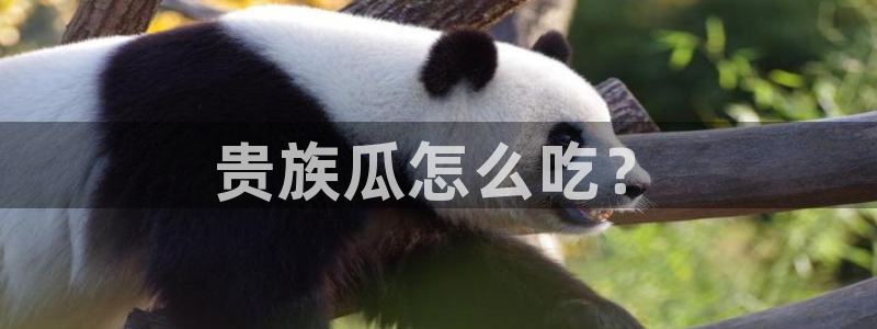 cggolive吃瓜网