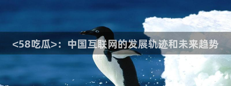 吃瓜吃到自己头上：<58吃瓜>：中国互联网的发展轨迹和未来趋势