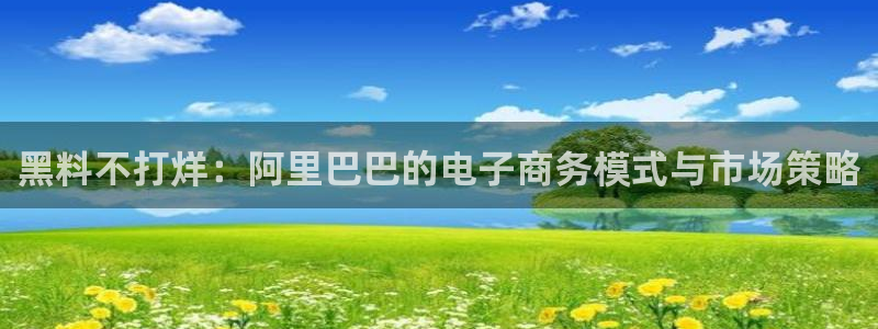 吃瓜.：黑料不打烊：阿里巴巴的电子商务模式与市场策略