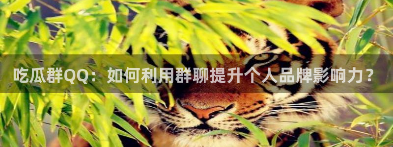 51吃瓜今日必吃刀刀：吃瓜群QQ：如何利用群聊提升个人品牌影响力？