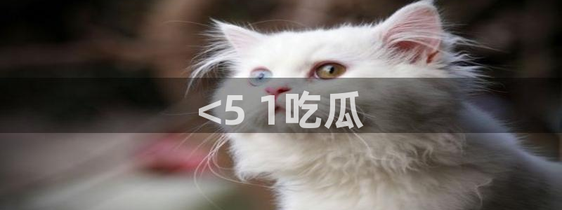 51吃瓜nanataipei