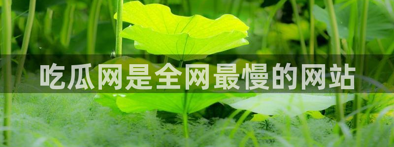 51国产吃瓜在线今日吃瓜：吃瓜网是全网最慢的网站
