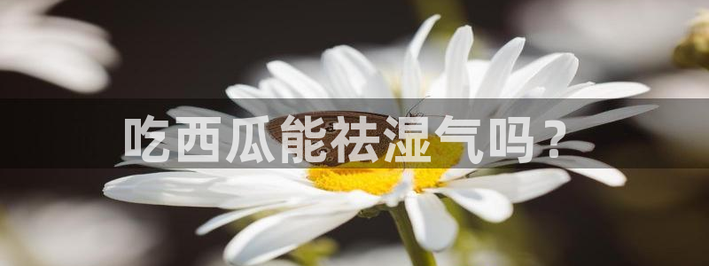 51热门大瓜今日吃瓜：吃西瓜能祛湿气吗？